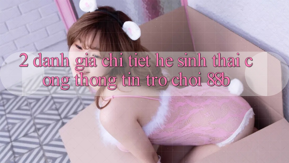 2. Đánh Giá Chi Tiết Hệ Sinh Thái Cổng thông tin Trò chơi 88b