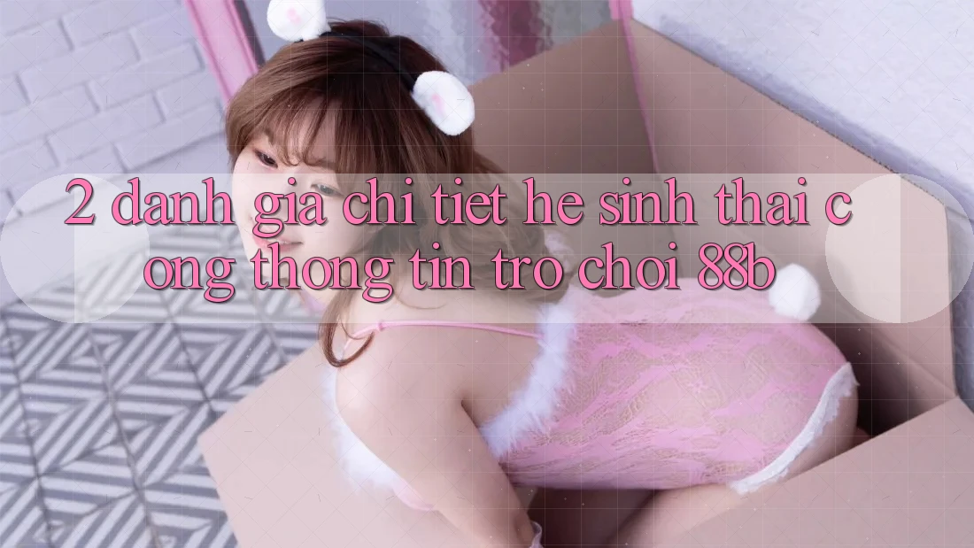 2. Đánh Giá Chi Tiết Hệ Sinh Thái Cổng thông tin Trò chơi 88b