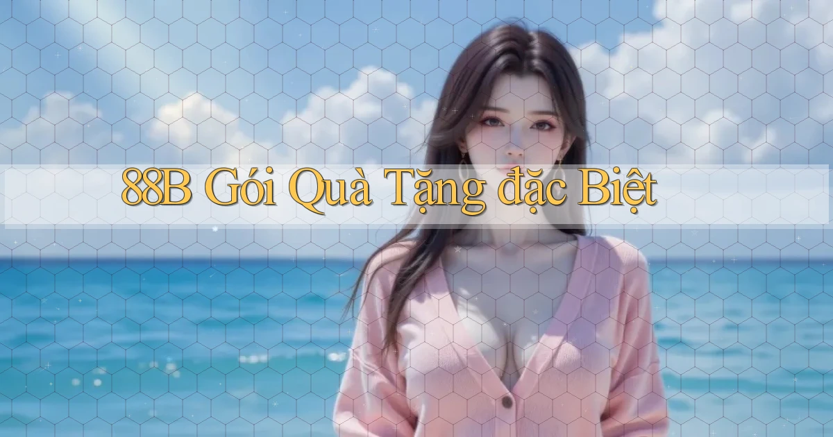 88b  gói quà tặng đặc biệt
