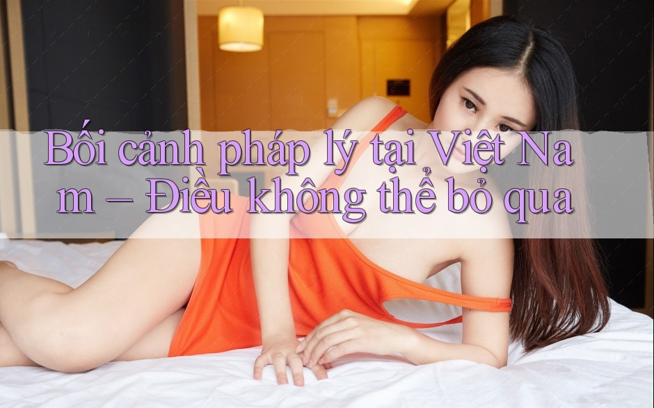 Bối cảnh pháp lý tại Việt Nam – Điều không thể bỏ qua