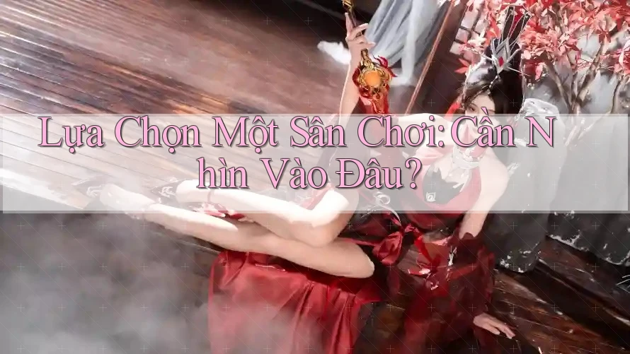 Lựa Chọn Một Sân Chơi: Cần Nhìn Vào Đâu?