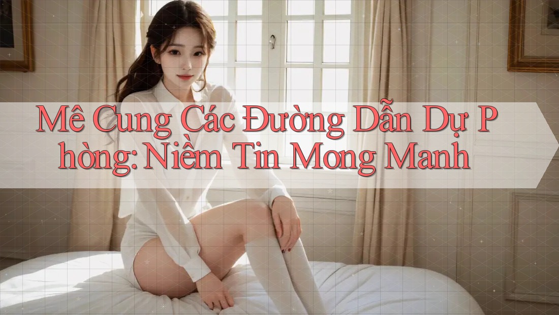 Mê Cung Các Đường Dẫn Dự Phòng: Niềm Tin Mong Manh