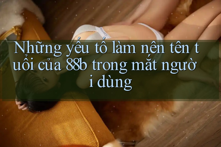 Những yếu tố làm nên tên tuổi của 88b trong mắt người dùng Những yếu tố làm nên tên tuổi của 88b trong mắt người dùng