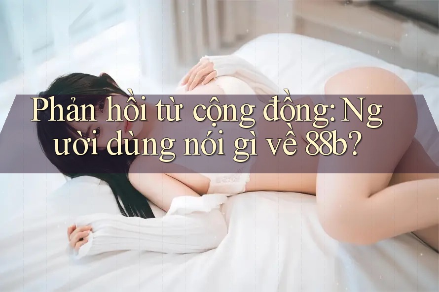 Phản hồi từ cộng đồng: Người dùng nói gì về 88b?