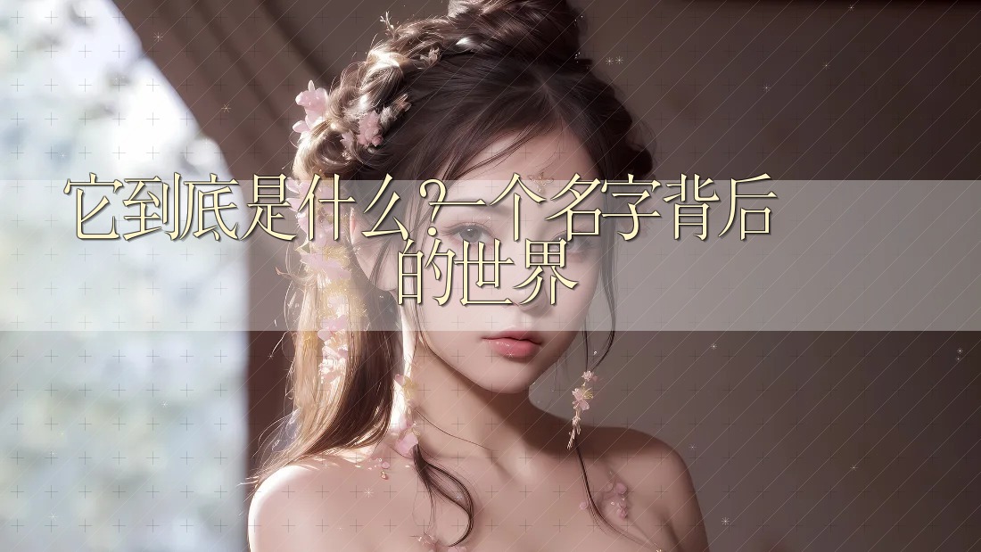 它到底是什么？一个名字背后的世界
