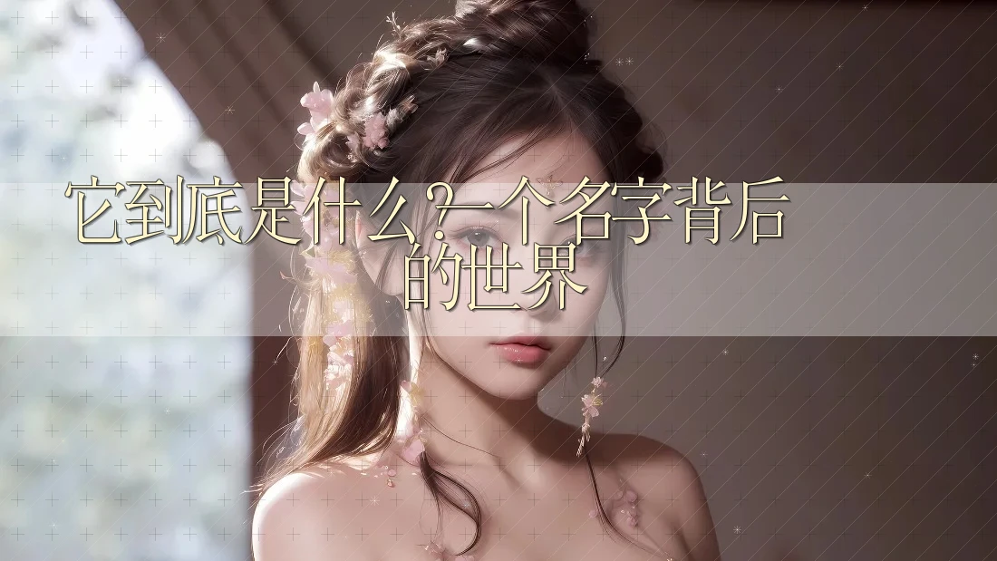 它到底是什么？一个名字背后的世界