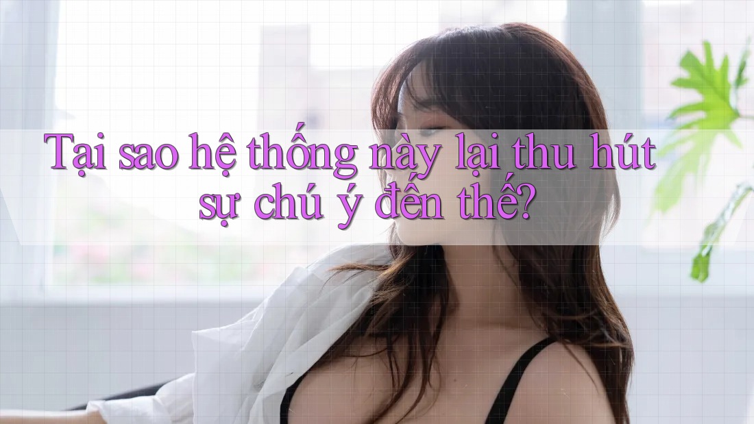Tại sao hệ thống này lại thu hút sự chú ý đến thế?