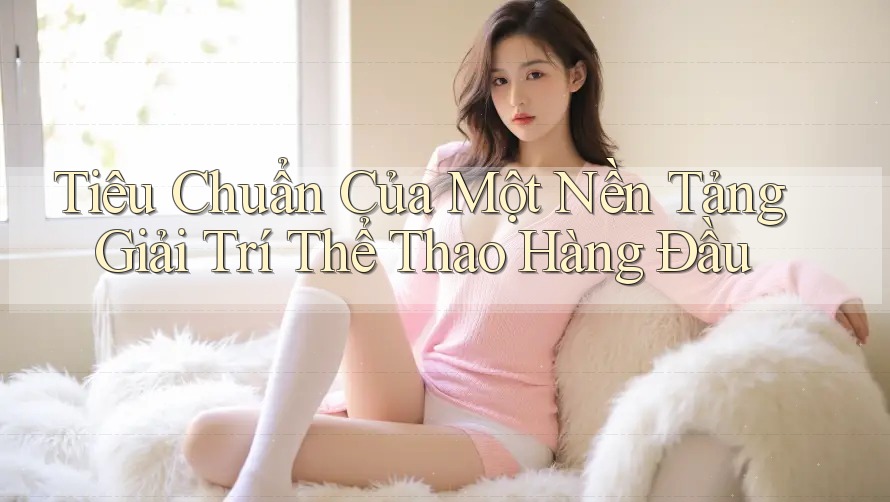 Tiêu Chuẩn Của Một Nền Tảng Giải Trí Thể Thao Hàng Đầu