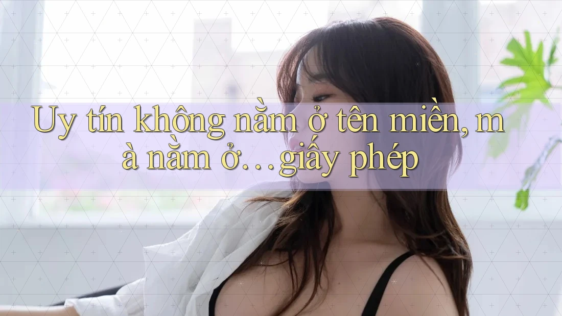Uy tín không nằm ở tên miền, mà nằm ở… giấy phép